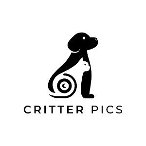 Critter Pics a