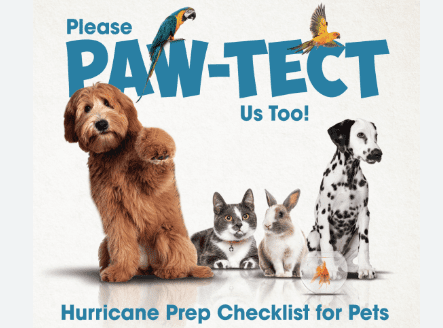 2024 July Hurricane Pets