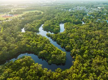 MCF Halipatiokee Aerial Shot s