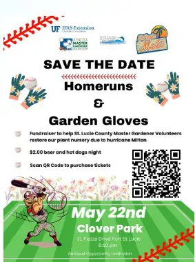 2025 22 May Homeruns